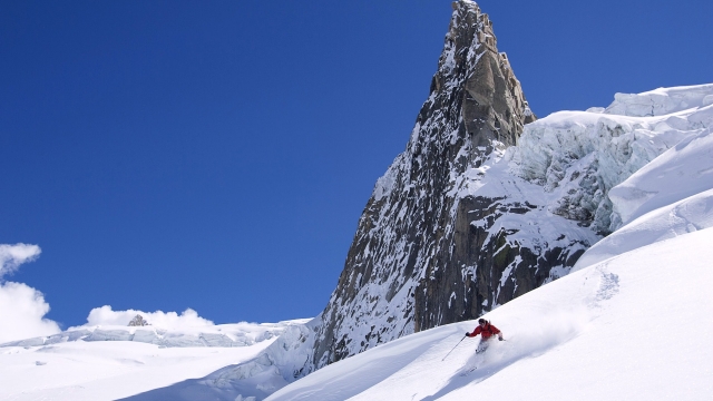 bat365公司：园林绿化常用树苗