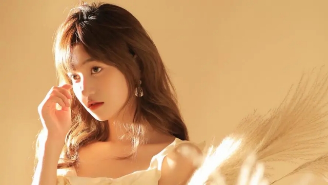 bat365公司：园林绿化土球直径的划分