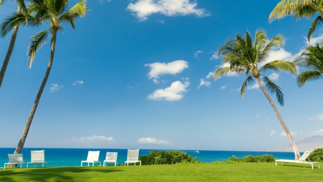 bat365中国：园林绿化植物的分类