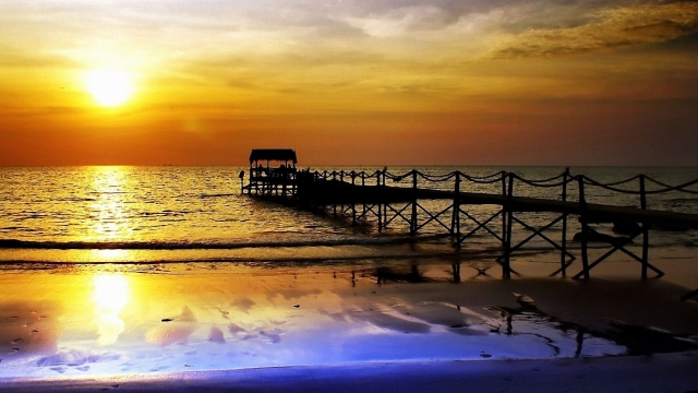 园林绿化法青苗木