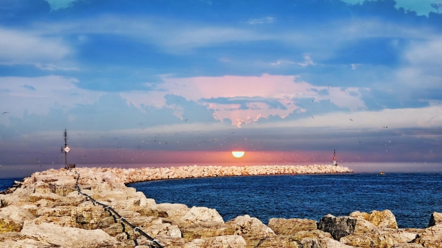 bat365集团：园林绿化很像桃花