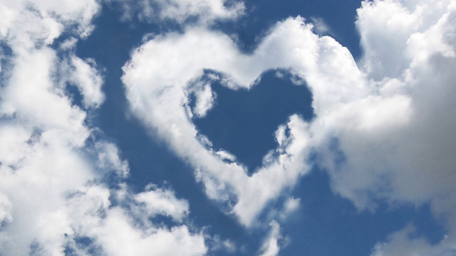 bat365公司：园林绿化养护必要性