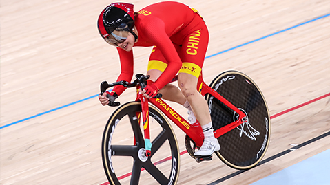 bat365公司：园林绿化树种规格方式