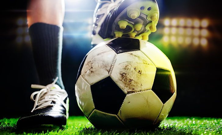 bat365：园林绿化整理绿化用地